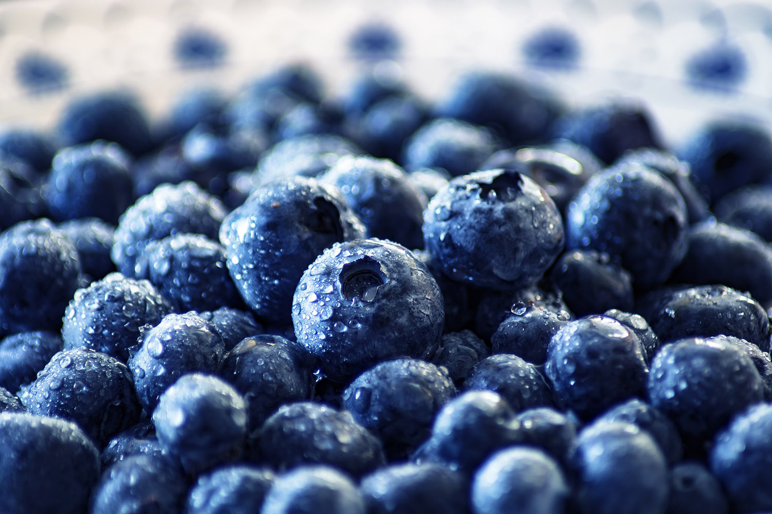 Beeren