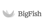 BigFish